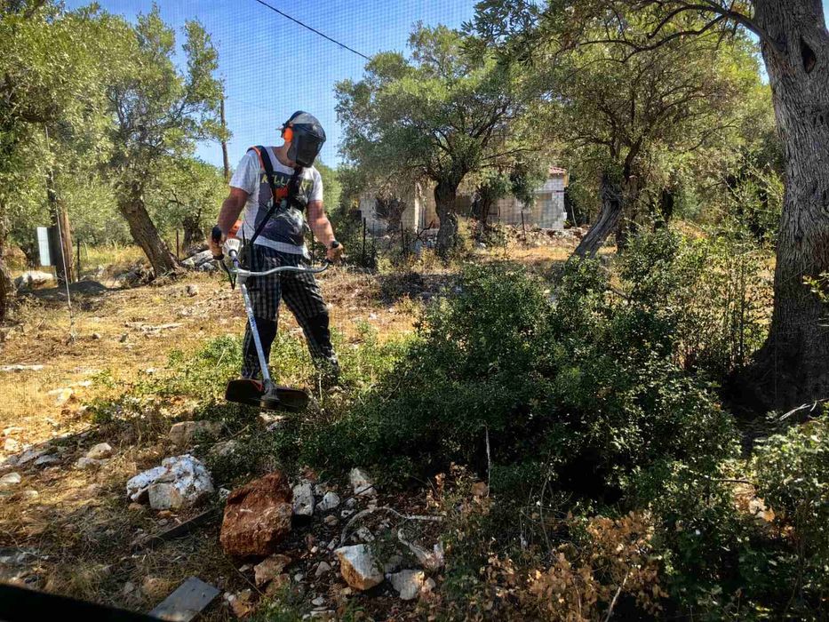 Поддръжка на малки зелени площи