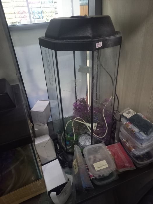 Аквариум  разные