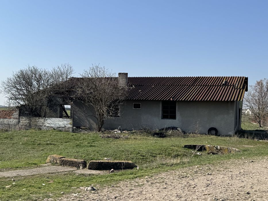 Ferma Bihor Salonta Baia Veche