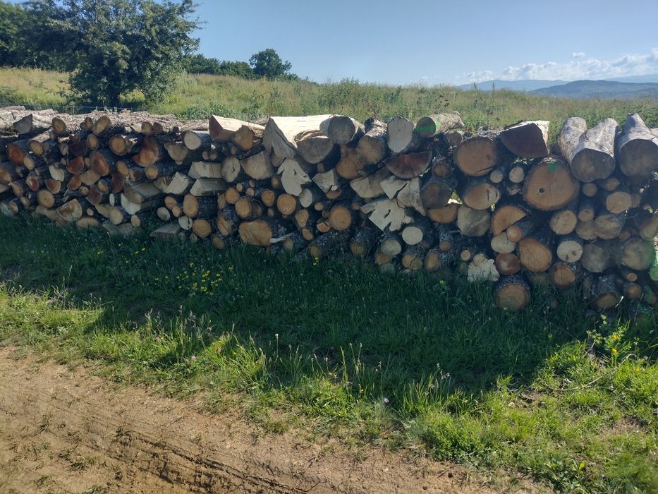 Lemne de foc esență