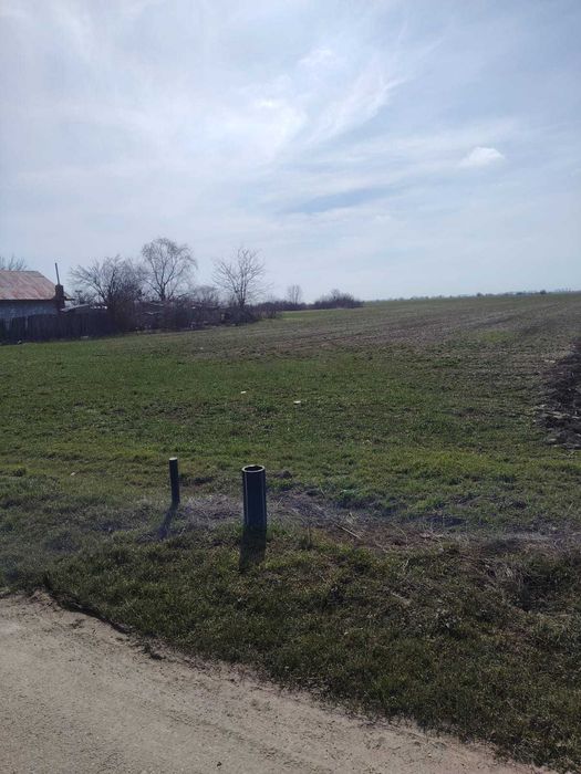 Loturi teren intravilan de vanzare, Localitatea Dascalu, Jud. Ilfov