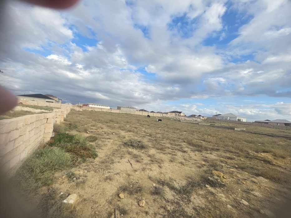 Бөліп төлеуге жер сатамын Тельманнан