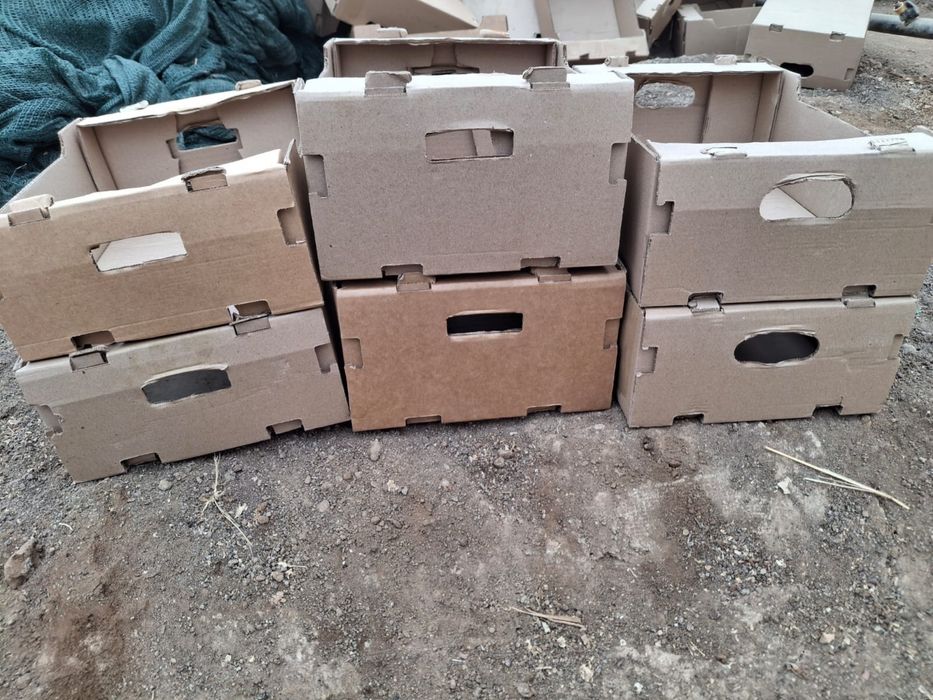Картонные коробки