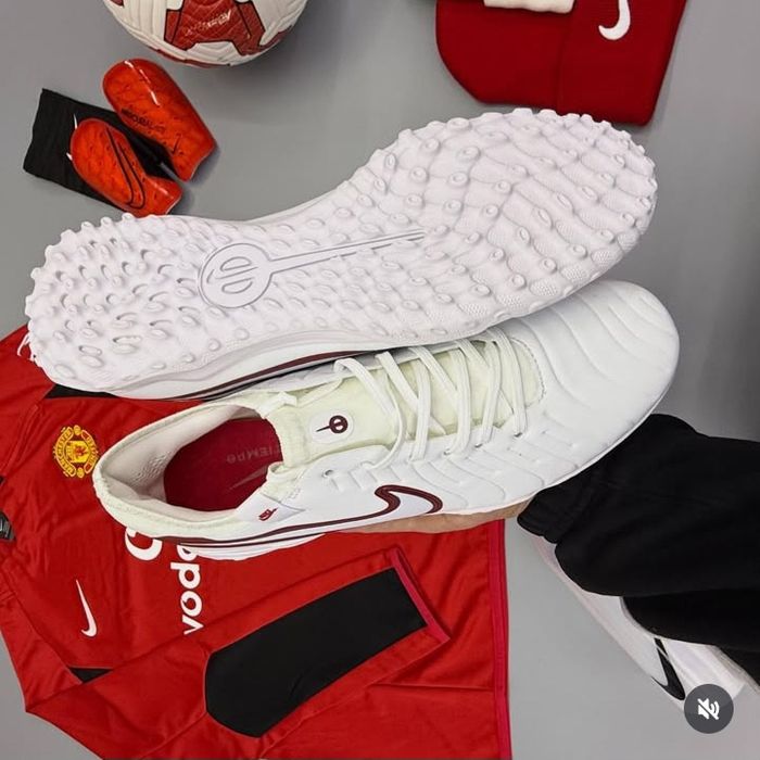 Сороконожки, профессиональные