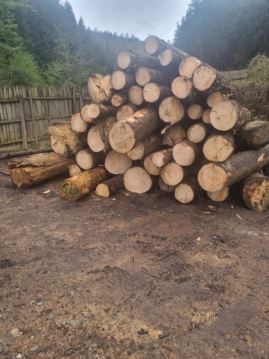 Cherestea de vanzare , producator