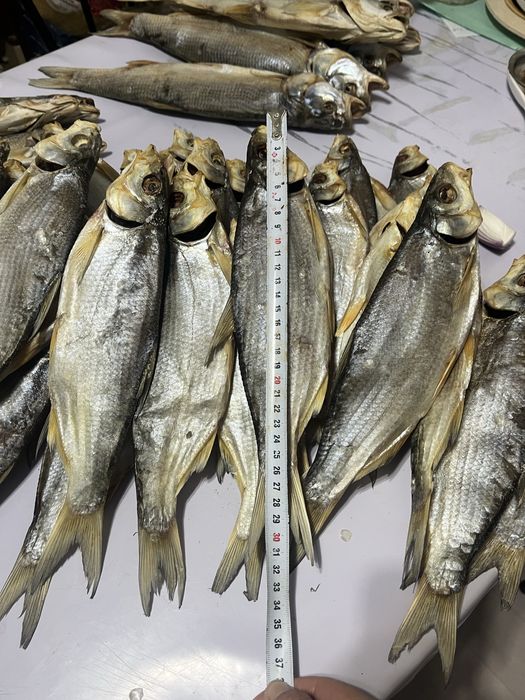 Кепкен балык сатамын