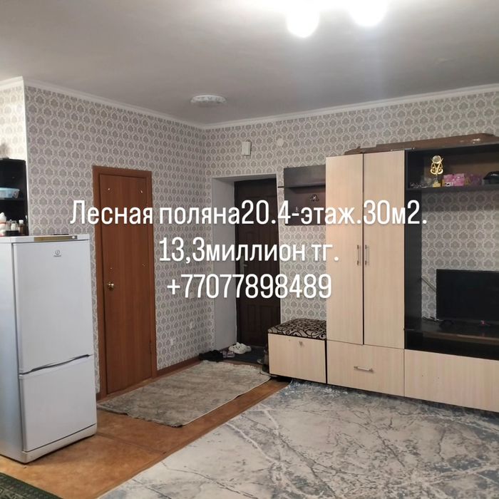 Лесная поляна 20. 4-этаж. 30м².