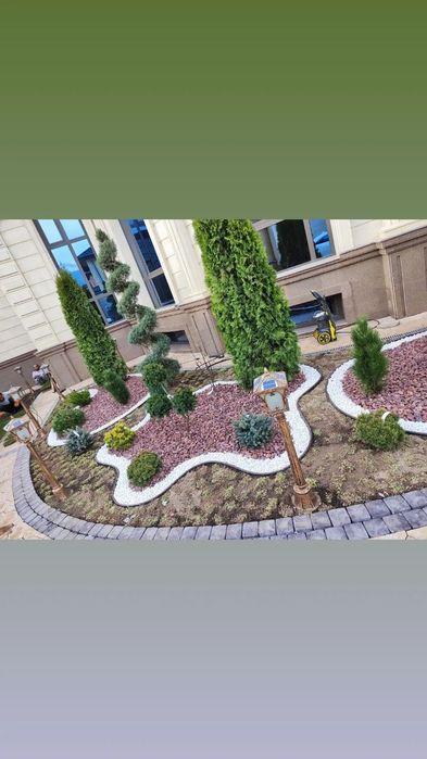 Гортензии газон елки тополя голубые ели