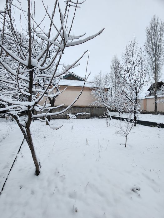 Yer sotiladi 7 sotokdan ortiq Angren markazidan