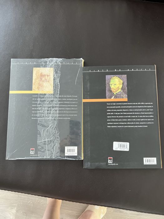Pachet carti Leonardo si Van Gogh