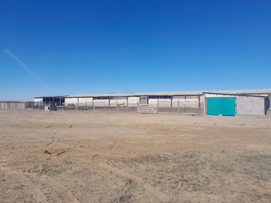 Фазенда сатылады