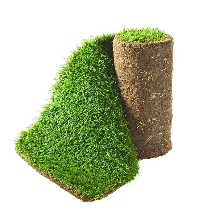 Producător rulouri de gazon ferma Botoșani