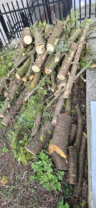 Diverse de ridicat gratuit!