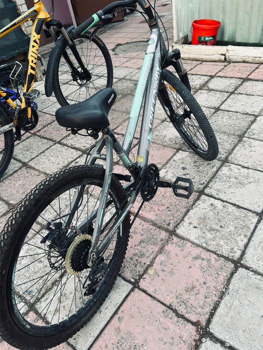 Веласапет сатылады багасын келисемиз