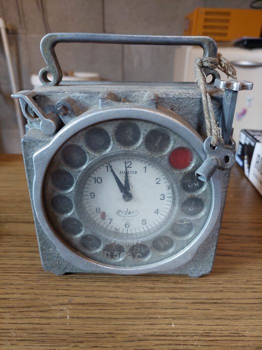 Ceas de pontaj porumbei Junior