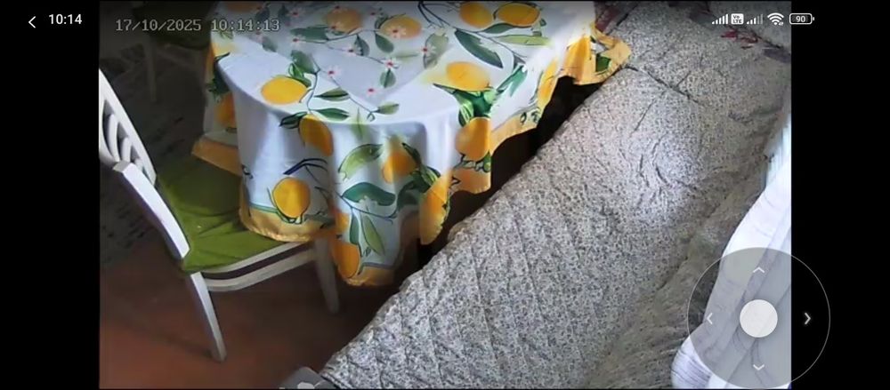 Camera PTZ free program