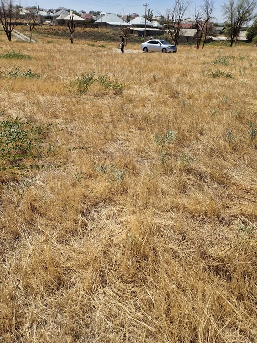 Участок Бозарык Алтын орда