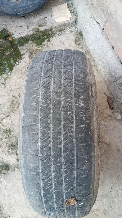 Diska kobilt ichi chuqur diska