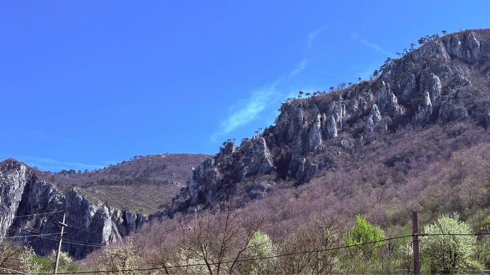 Cazare Baile-Herculane,Casa din Grădină