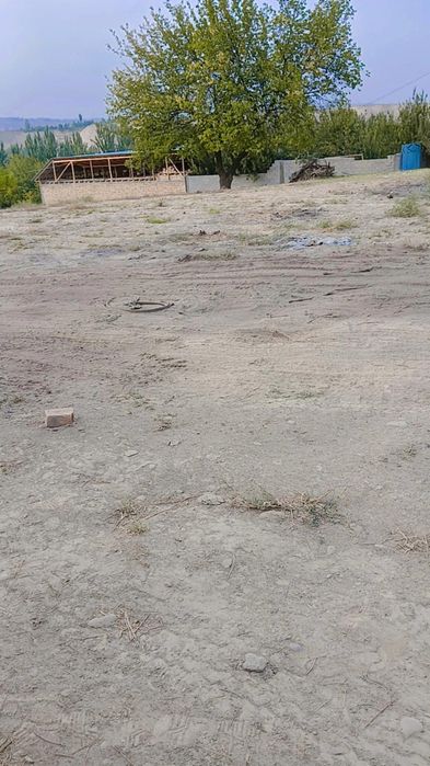 8 sotuk Uchastka sotiladi