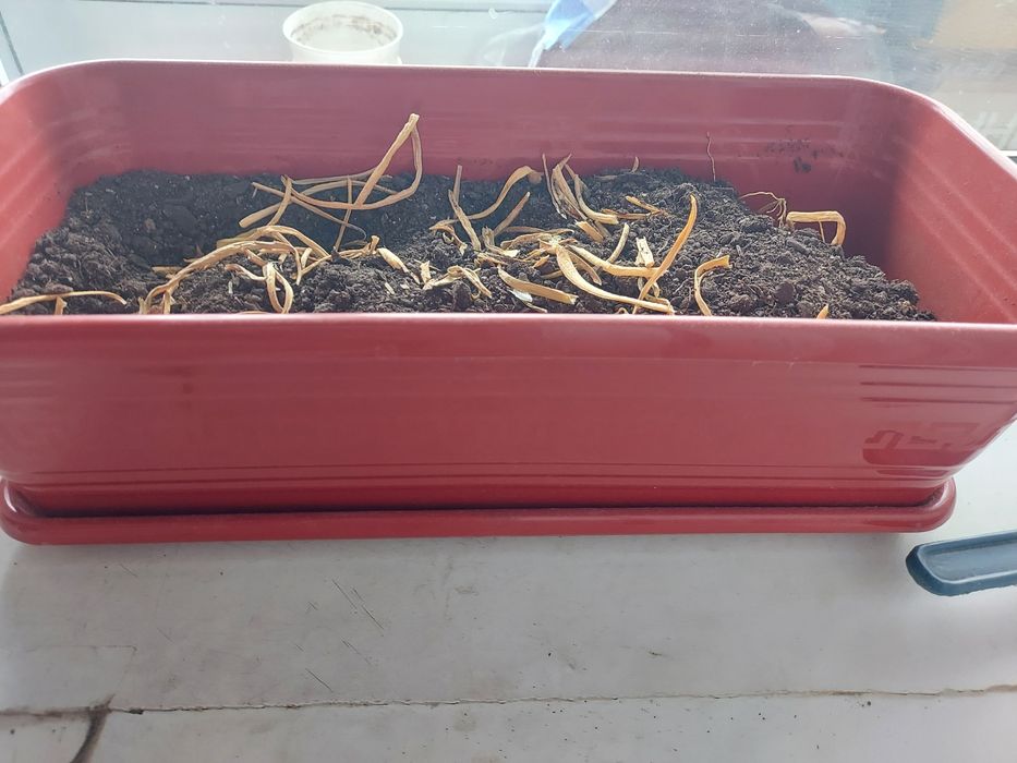 Продам горшки для цветов