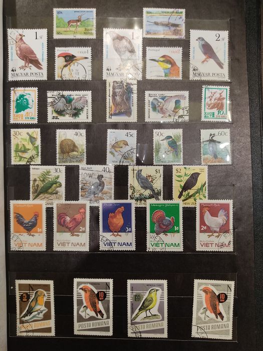 Почтовые марки. Альбом "Птицы".