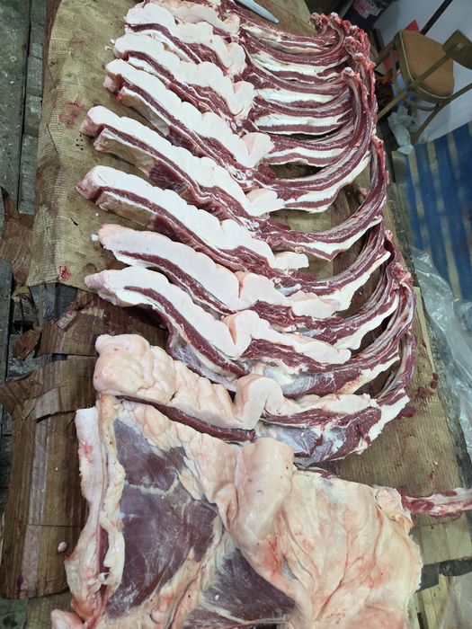 Продам байтал сирактап