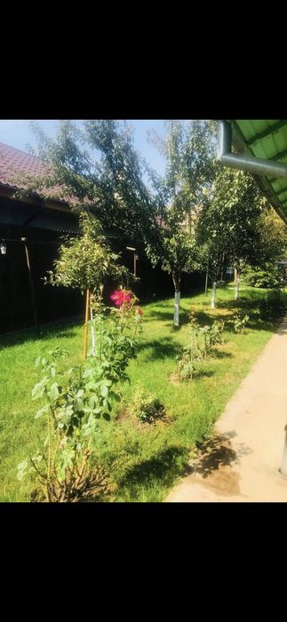 Casa speciala vânzare pasarea ilfov