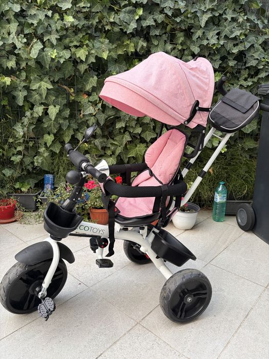 Vand Tricicleta cu sezut reversibil ecotoys