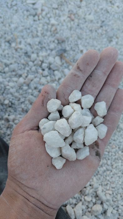 Мазайка мраморний