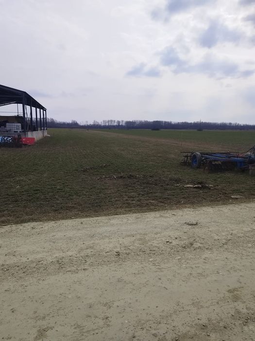 Teren intravilan 1900 mp – Puchenii Moșneni – aproape DN1