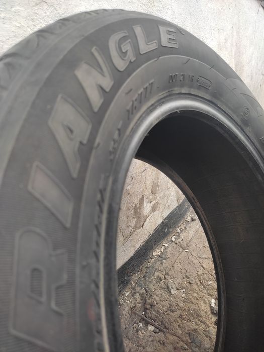 Резина TRIANGLE   snow lion