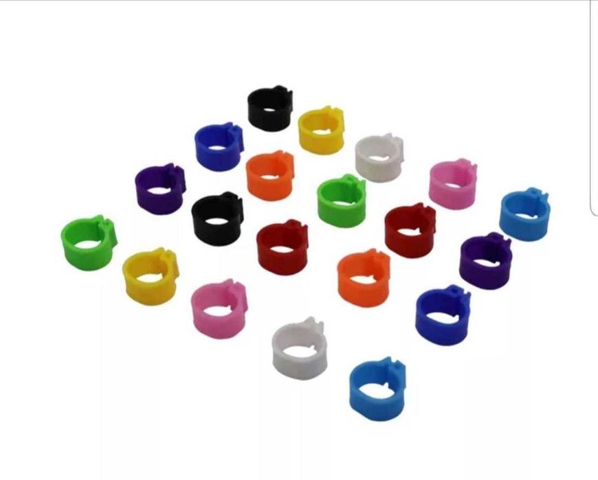 Inele , Cleme , Porumbei-Papagali