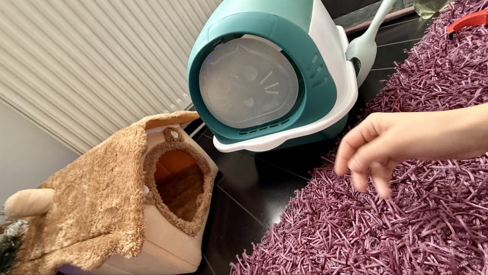 Set Casuta si LITIERA complet inchisa pentru pisici si  lopata