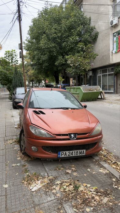 Пежо 206 Газ и Бензин