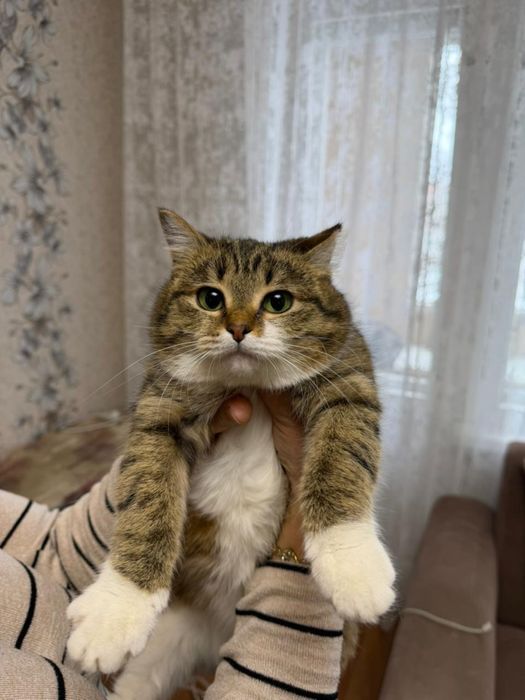 Отда мошку в хорошие руки.