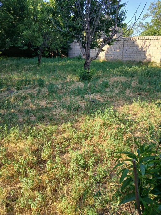 Бозсувдан 4, 6, 8, сотих ер сотилади!