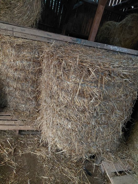 Baloti   de     paie