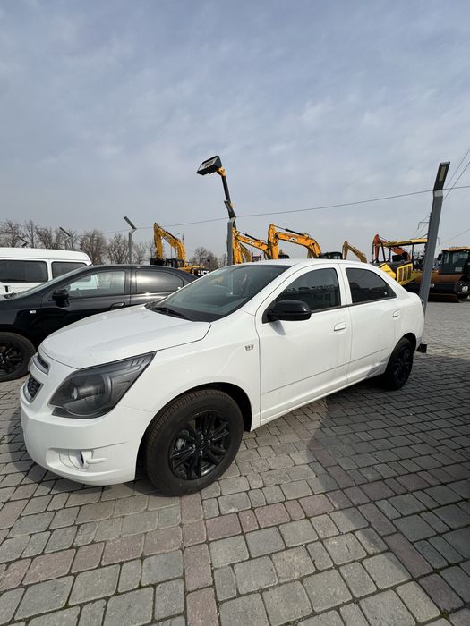 Cobalt MCM midnight 2026