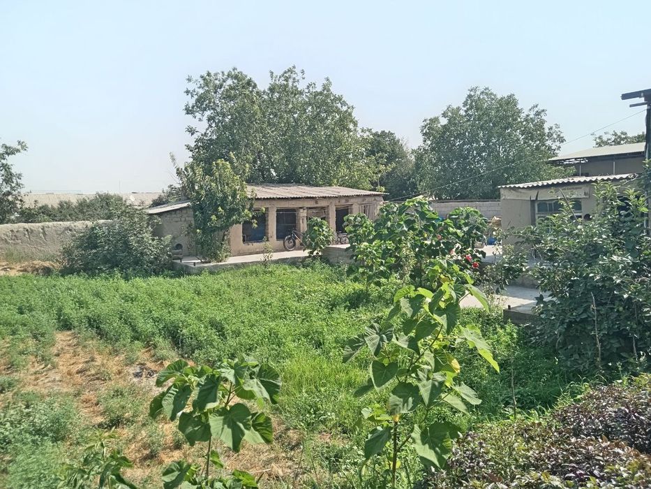 Samarqand vil. Pastdargom tumani. Nayman mahallasida yer sotiladi