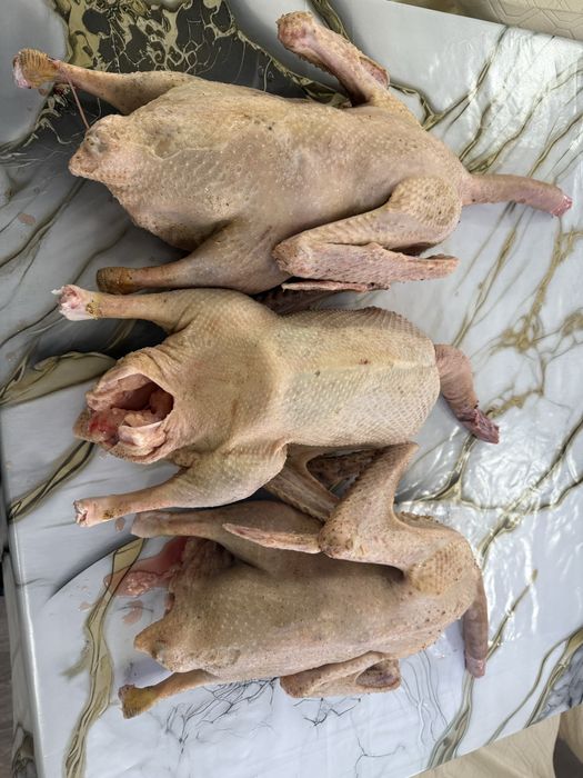 Продаём тушка гуся