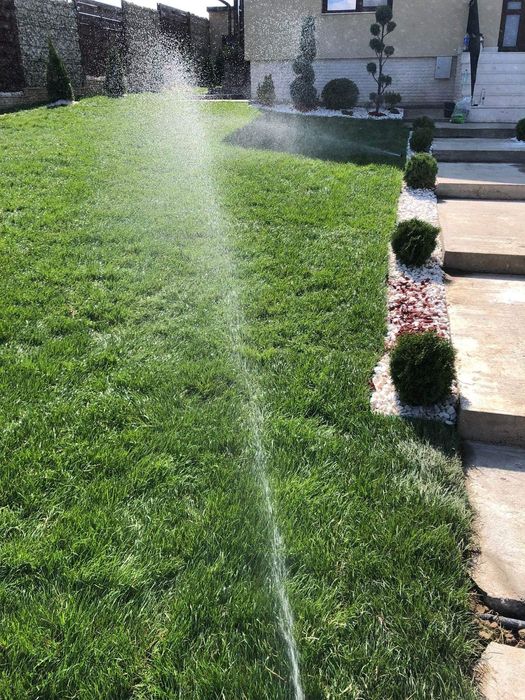 Gazon rulou și sistem de irigare