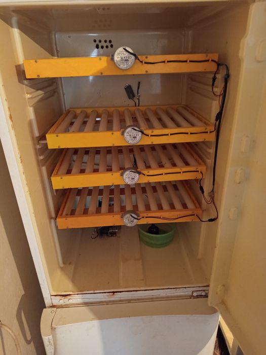 Инкубатор сатылады