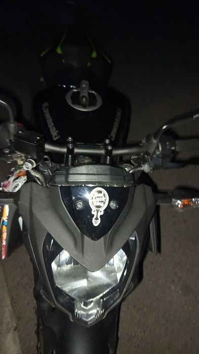 Kawasaki z 124 (2019)