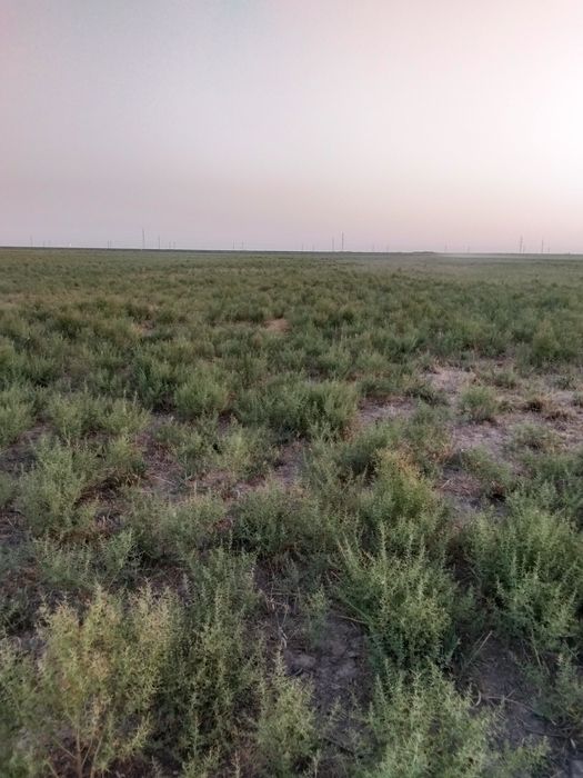 Жер сатылады суармалы