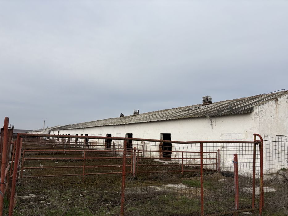 Hala depozitare ferma  80 lungime 12 latimea constructiei +12 /80curte