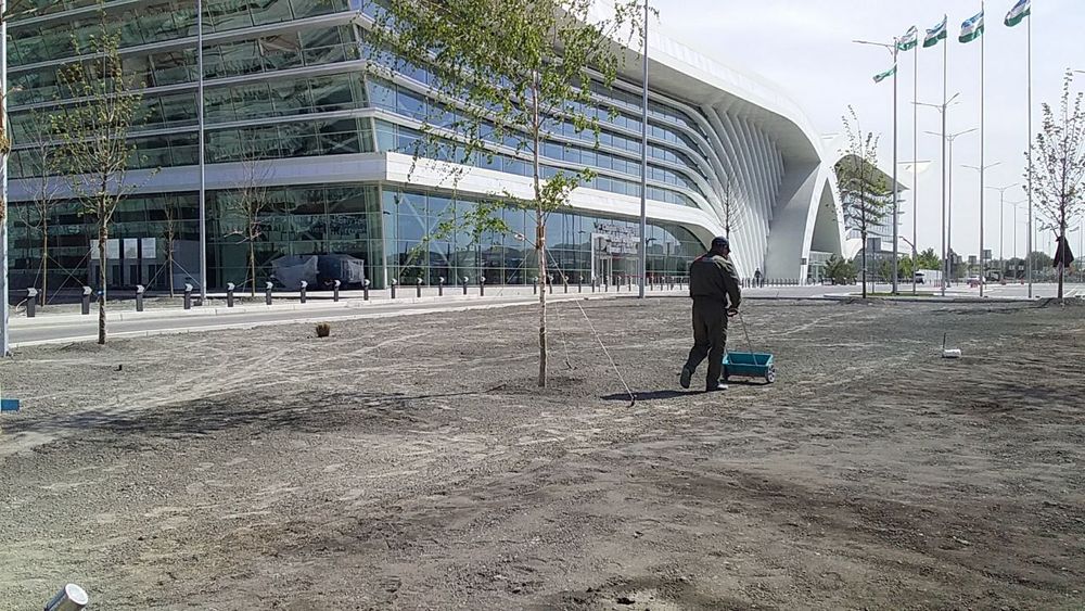 Enter green life. ПОСЕВ ГАЗОНА