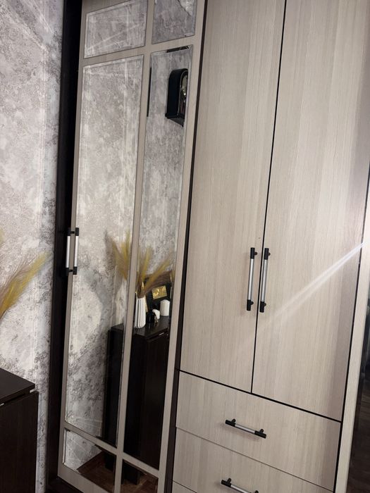 Шкаф-купе Маэстро