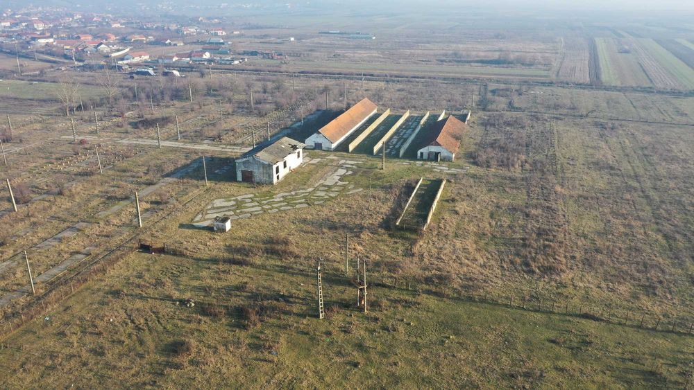 Teren Intravilan Filiasi - 55000 mp