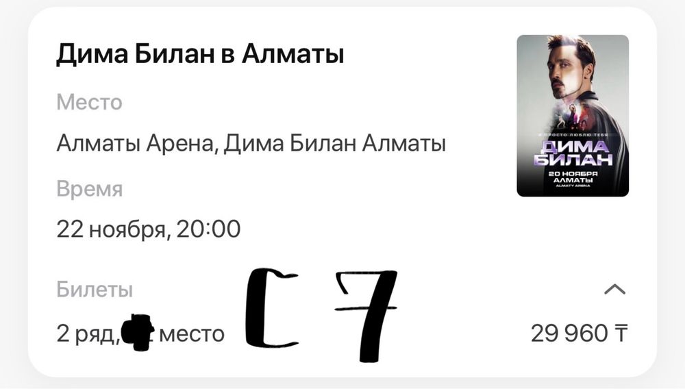 Билет на Диму Билана